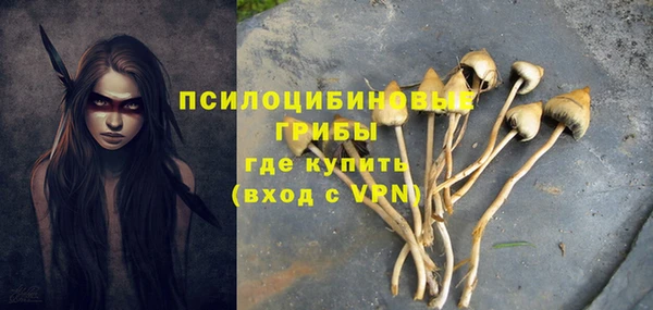 кокаин премиум Алексеевка