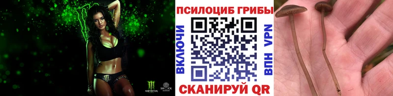 хочу   kraken ССЫЛКА  Псилоцибиновые грибы MAGIC MUSHROOMS  Любань 